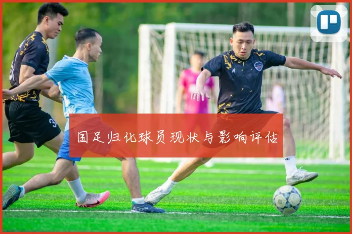 国足归化球员现状与影响评估