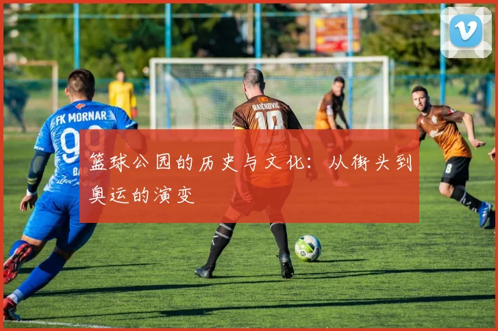篮球公园的历史与文化:从街头到奥运的演变